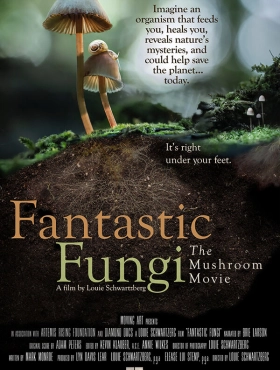 Фантастические Грибы