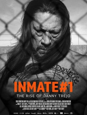 Заключённый №1: Восхождение Дэнни Трехо