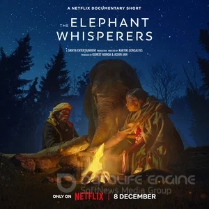 Заклинатели слонов