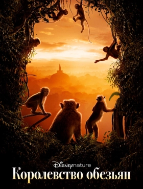 Королевство обезьян