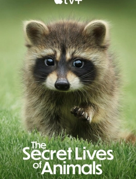 Тайная жизнь животных